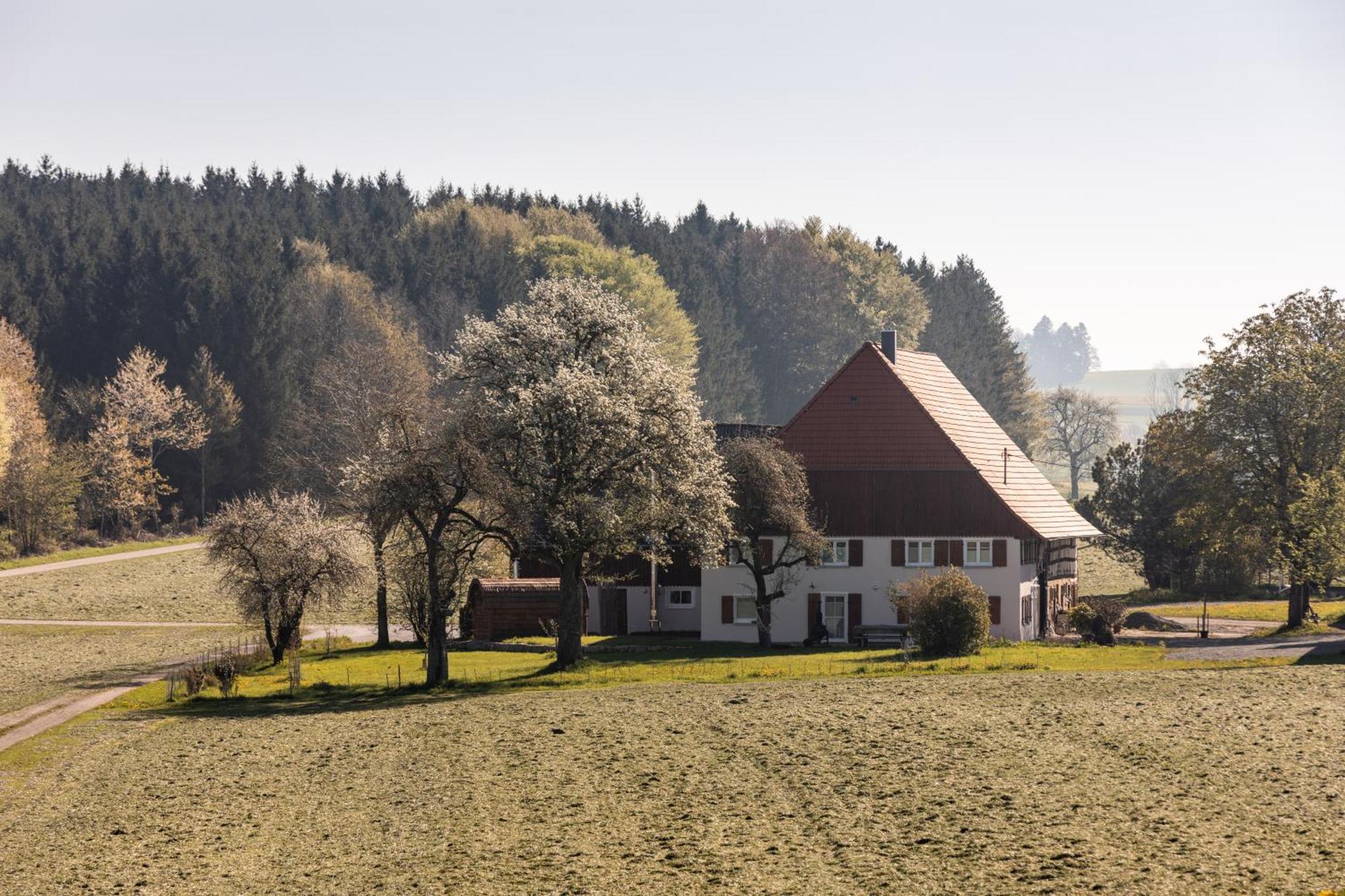 Ferienhof Greuthof Bad Wurzach Bagian luar foto