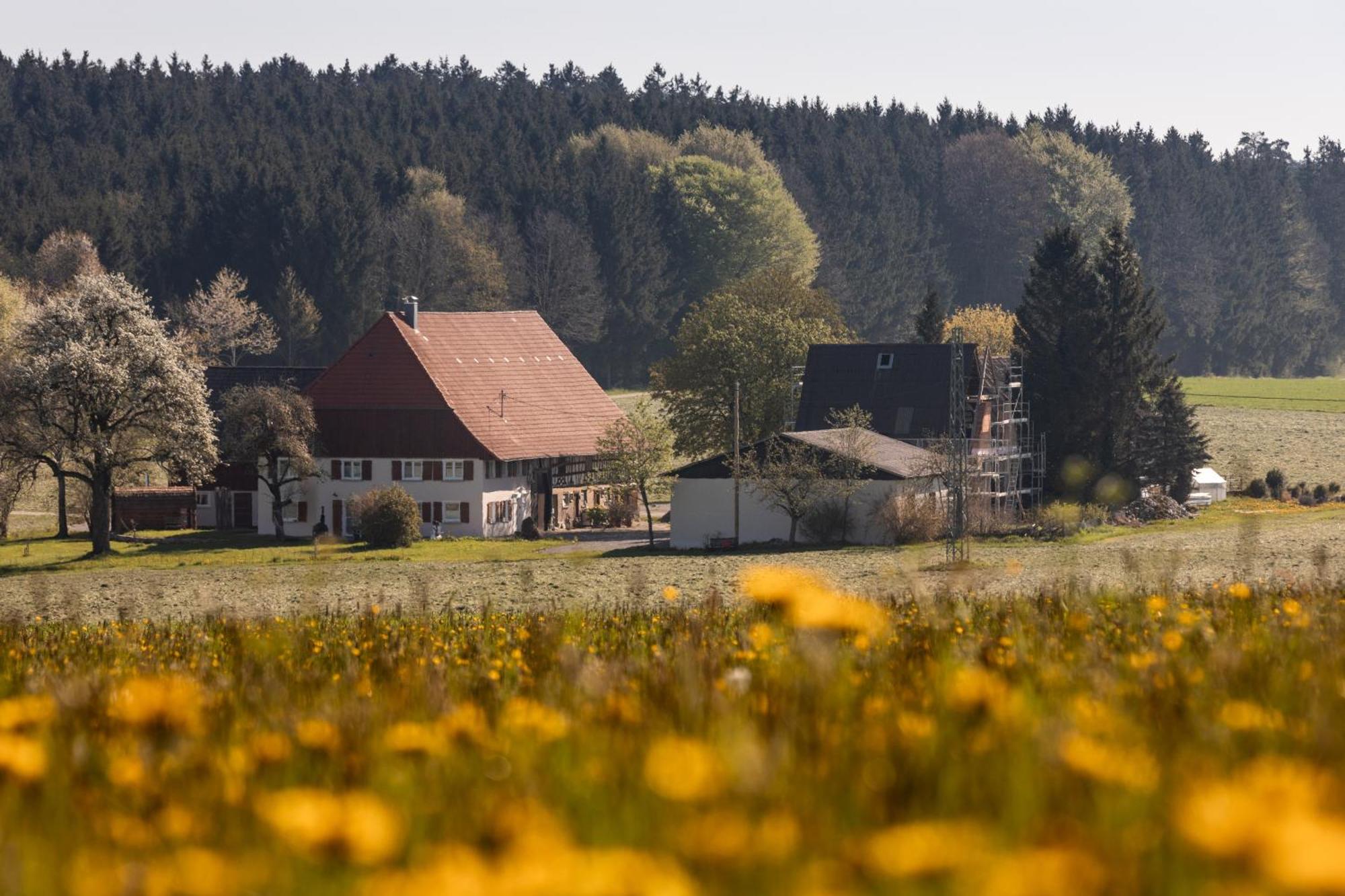 Ferienhof Greuthof Bad Wurzach Bagian luar foto